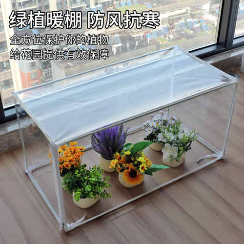 家用绿植暖棚小型花卉防冻花棚