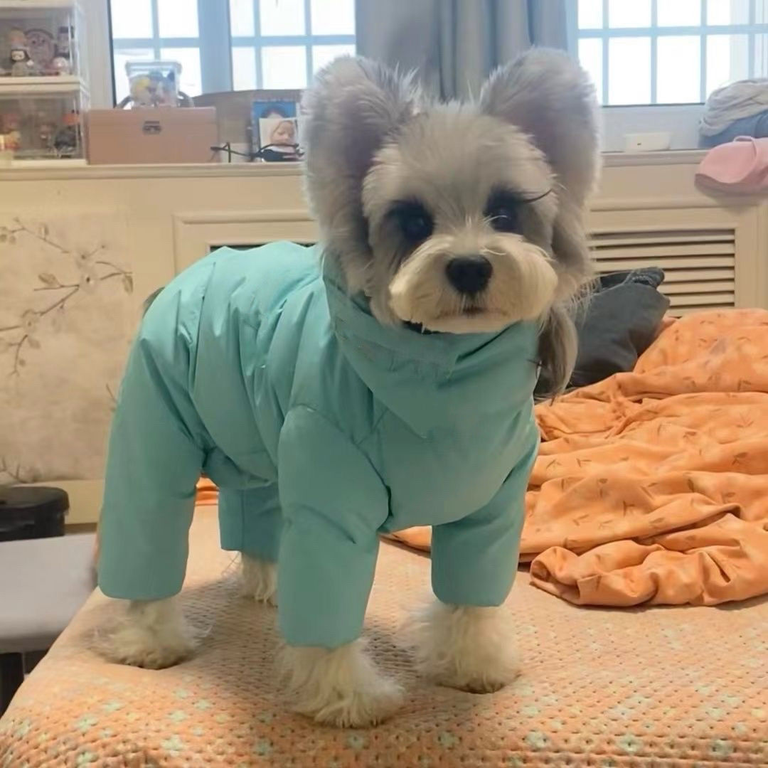 宠物四脚棉衣冬天狗狗衣服加厚保暖泰迪比熊博美小型犬秋冬