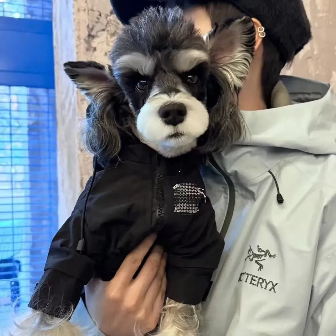 宠物潮牌冲锋衣泰迪比熊雪纳瑞法斗狗狗猫咪秋冬保暖衣服小型棉服