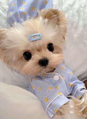 韩国INS宠物狗狗猫咪衣服 卡通睡衣套装睡帽薄款马尔济斯法斗