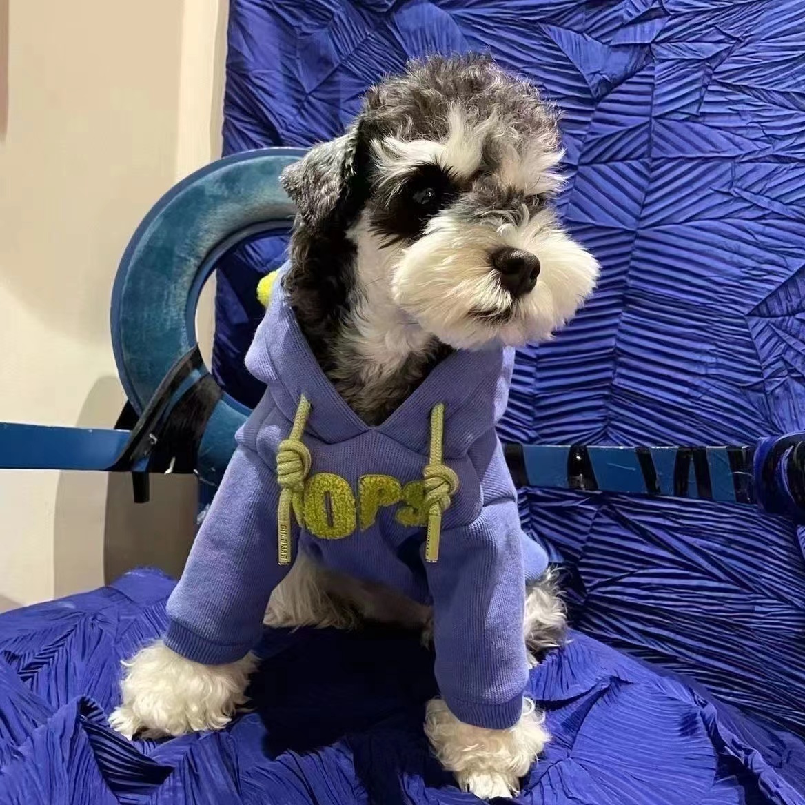 狗狗衣服秋冬雪纳瑞比熊泰迪中小型犬猫咪加绒保暖连帽卫衣