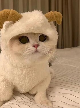 猫咪衣服秋冬装四脚衣变身装