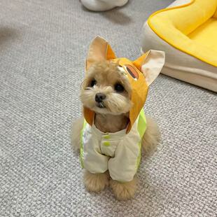 四季防掉毛装宠物猫狗衣服薄款洋气时尚情侣风衣中小型犬春夏新款