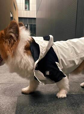 泰迪柴犬柯基英斗法斗哈士奇衣服中大型宠物狗狗冲锋衣dog