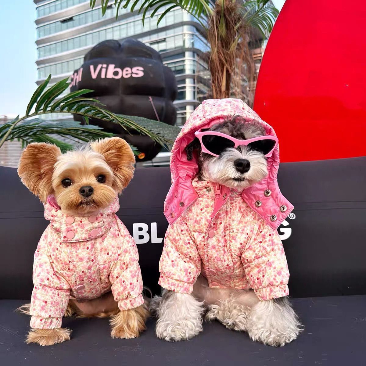 宠物狗狗衣服冬季雪纳瑞比熊泰迪柴犬西高地约克夏马尔棉服外套