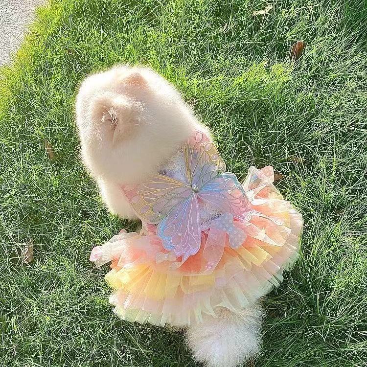 翅膀彩虹仙女公主纱裙子