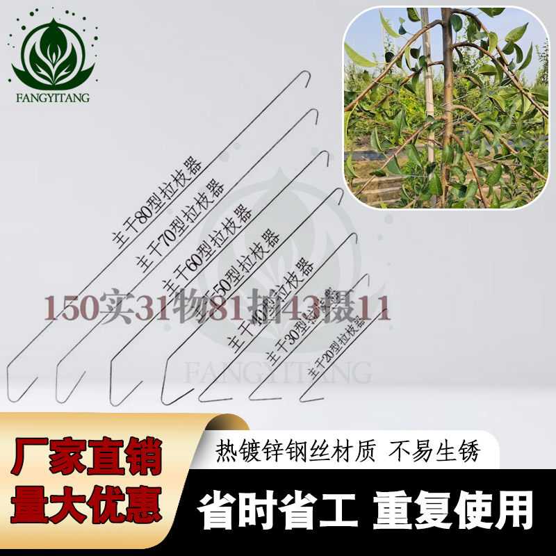 多功能果树主干拉枝神器