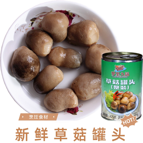 出口级草菇蘑菇罐头炒菜煲汤烹饪食材火锅配料营养熟食425克包邮