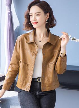 海宁皮衣外套女真66557皮季新款品牌绵羊皮休士小个子闲皮夹女春