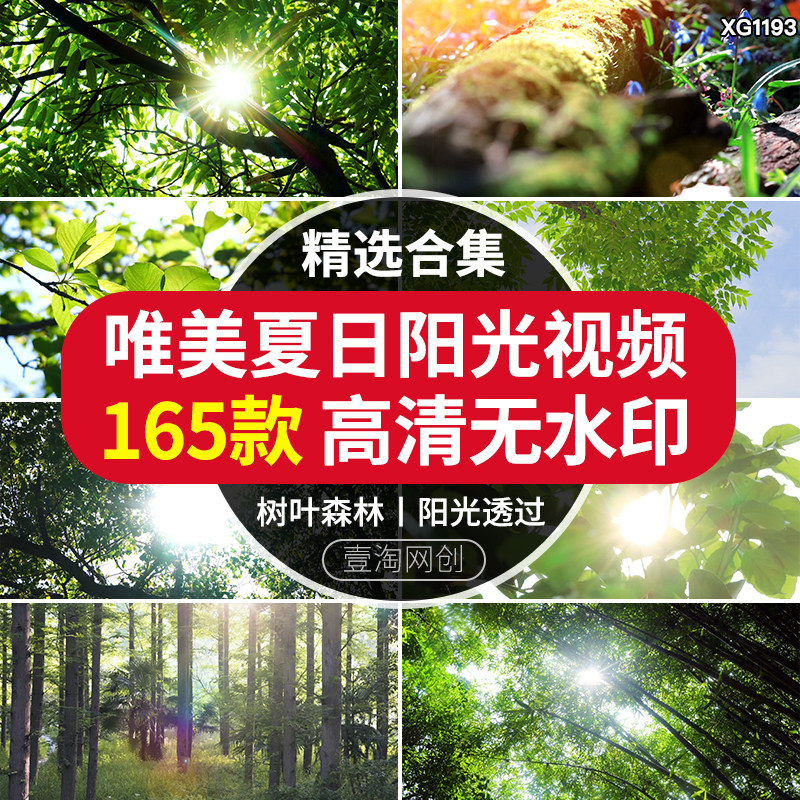 夏日天丁达尔透光阳光光影大自然清纯唯美树叶背景绿叶短视频素材