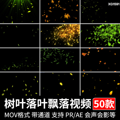 树叶绿叶子落叶枫叶秋天起风飘落特效动态透明通道pr ae视频剪辑