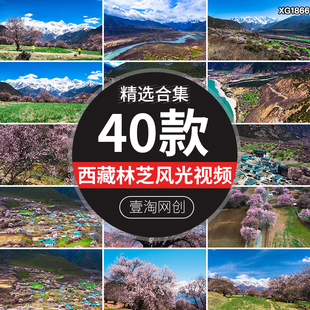 西藏林芝桃花节村落自然风景南迦巴瓦峰雪山风光短视频剪辑素材
