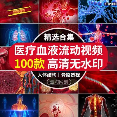 人体内部构造骨骼内脏血细胞血液流动三维动画3D演示视频剪辑素材