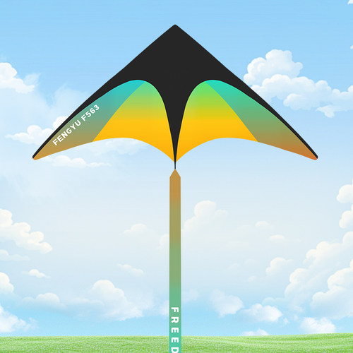 青金F563风筝带线轮套装