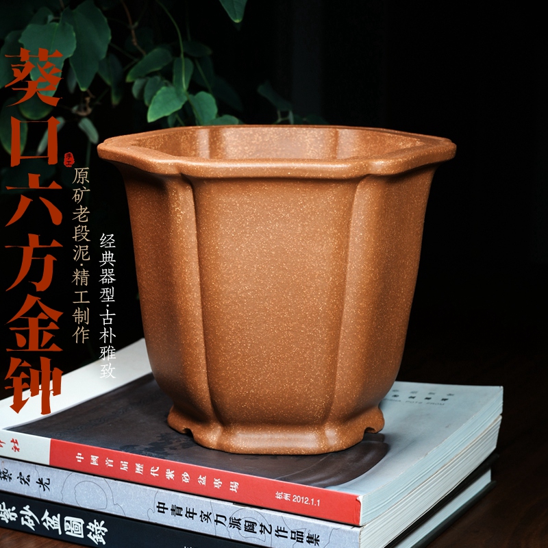 葵口六方形金钟精品紫砂兰花盆景盆栽春兰蕙兰蝴蝶兰透气内门竹子