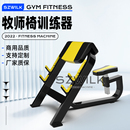金利硕健身房肱二三头肌训练架牧师凳商用罗马椅美腰机挺腰器收腹