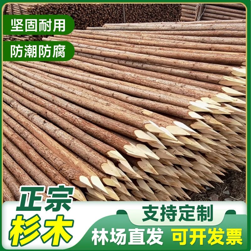 杉木户外河道驳岸防洪建筑桥梁基础巩固原绿化苗木支撑杆尖头木桩