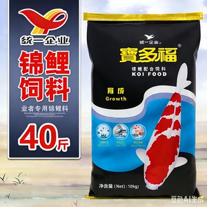 统一中锦鲤高蛋白速长渔场批发