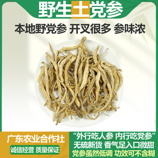 正宗野生本地土党参整根特级无硫中药材奶浆根土羊乳煲汤材料干货