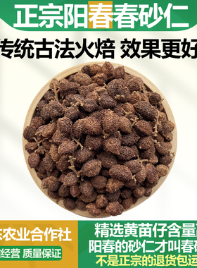 正宗阳春特产春砂仁干果特级精选传统火焙黄苗仔养胃煲汤中药材