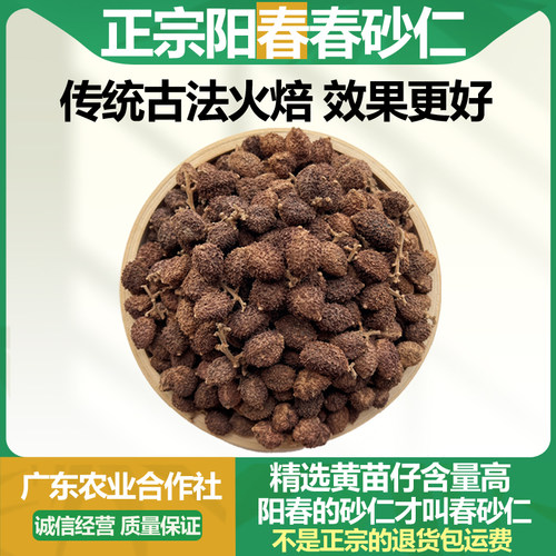 正宗阳春特产春砂仁干果特级精选传统火焙黄苗仔养胃煲汤中药材