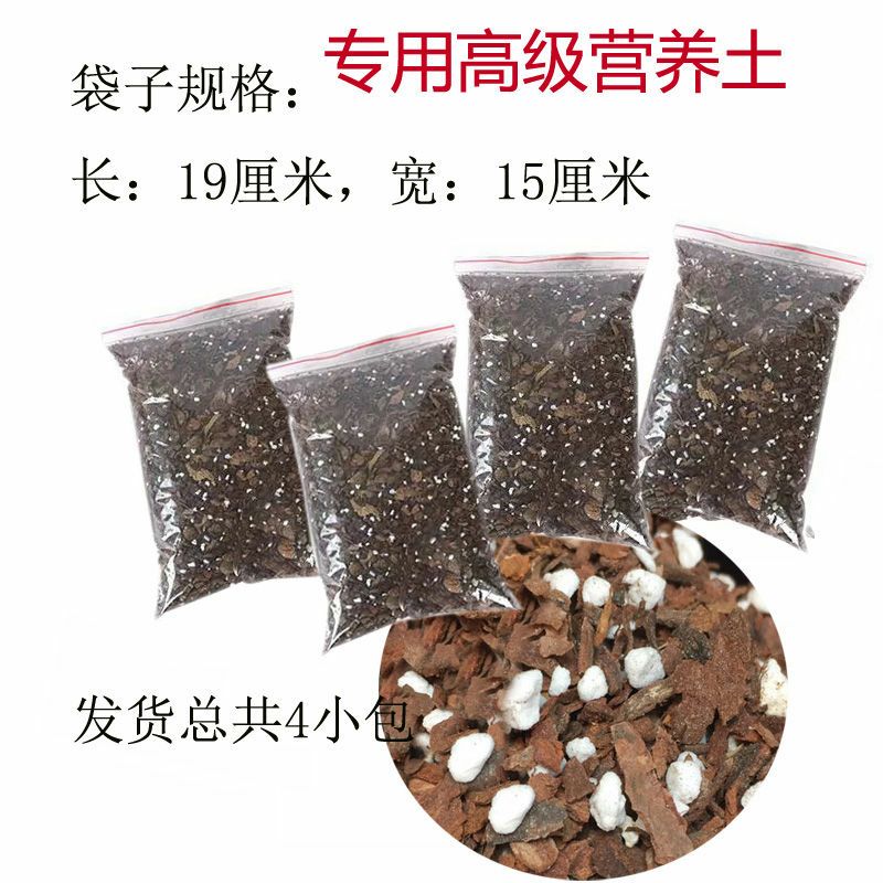 发酵松树皮松鳞铁皮石斛苗兰花多肉盆栽种植专用基质肥料营养土