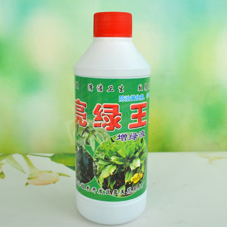 观叶植物超浓缩增绿液 花卉营养液 亮绿王 速效花肥 治植物黄叶