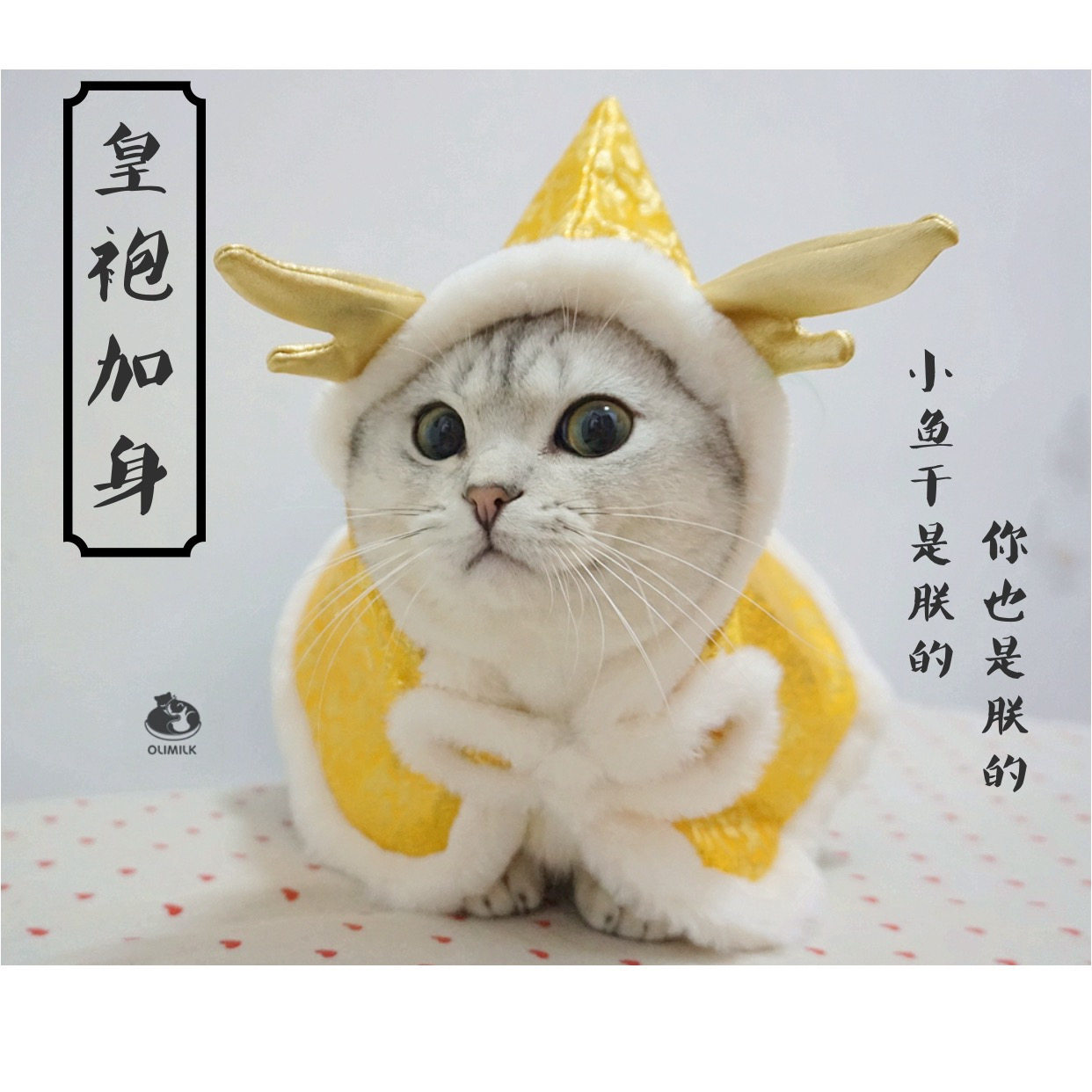 【Olimilk】皇袍加身~中国风斗篷龙袍圣诞新年连帽装宠物猫小型犬