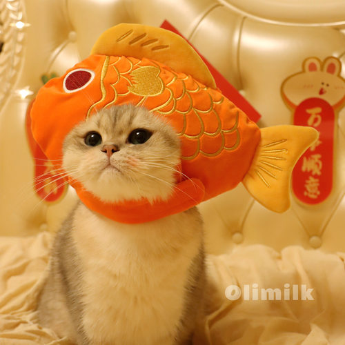 宠物新年可爱鱼头套帽猫咪小狗
