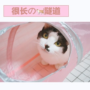 【Olimilk】是长的猫隧道 可加长可折叠不带响纸 颜色有点少女哟~