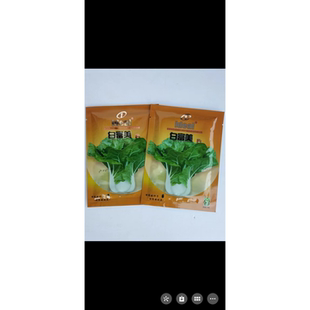 白富美四倍体矮脚黄种子长高桩梗宽白柄小白菜白茎青菜油菜种籽