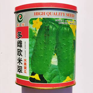 多雌欧米翠黄瓜种子早熟短把强雌型水果短棒黄瓜种籽薄皮绿瓤正品