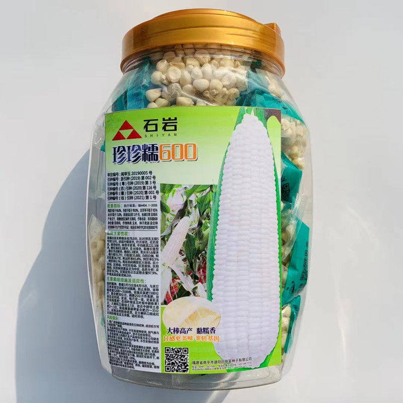 玉米种子珍珍糯600白色甜糯玉米种籽鲜食南北方春秋两季播种