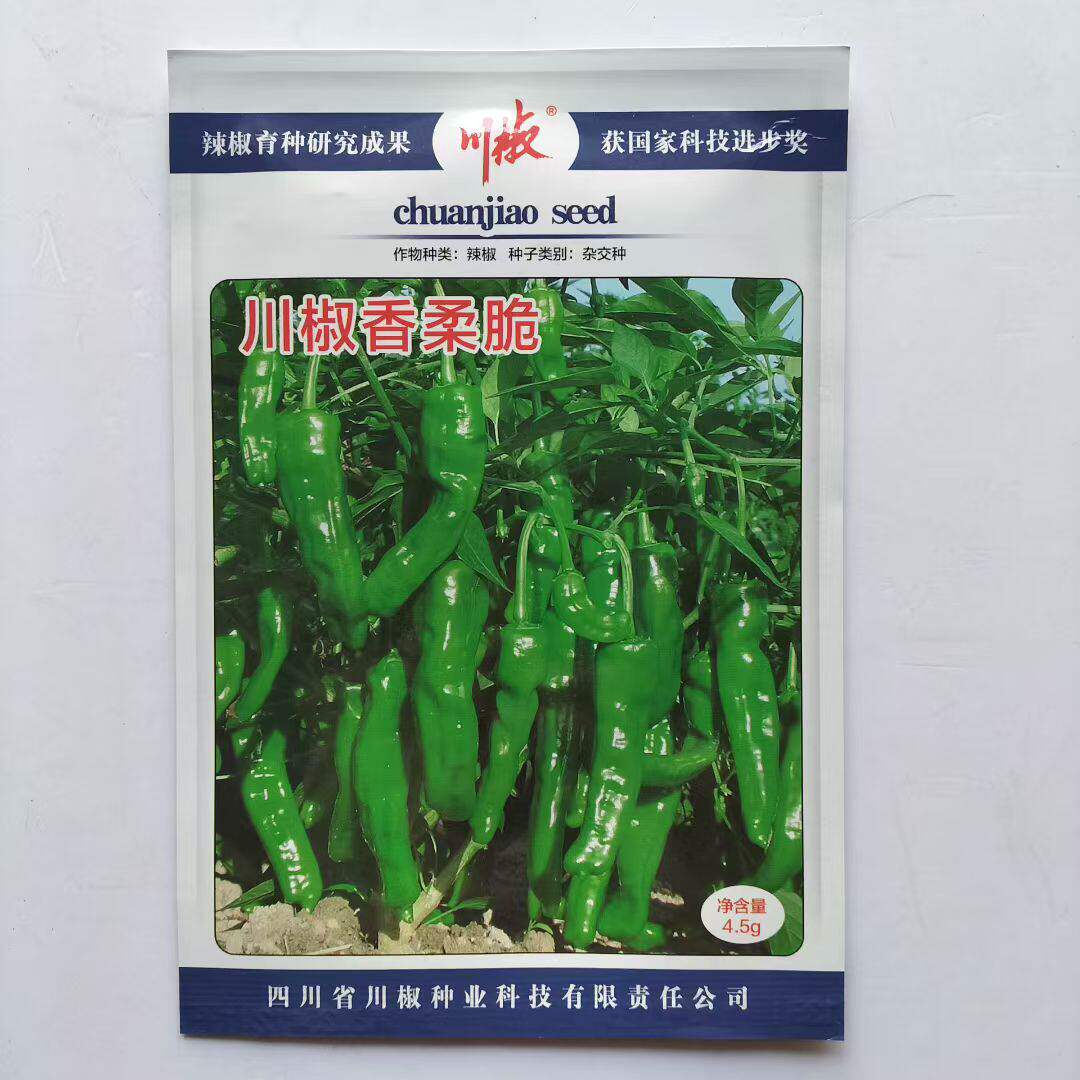 川椒种业川辣香柔脆辣椒种子早熟皮薄清香脆爽虎皮椒适用基地种子