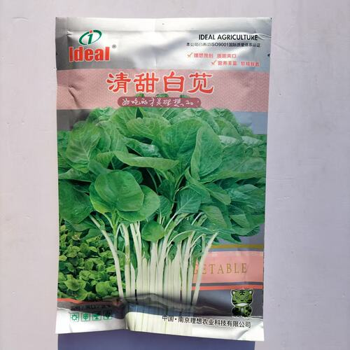 清甜白苋叶苋菜种籽高产抗病汗菜种子汉菜种四季青菜大田蔬菜种孑