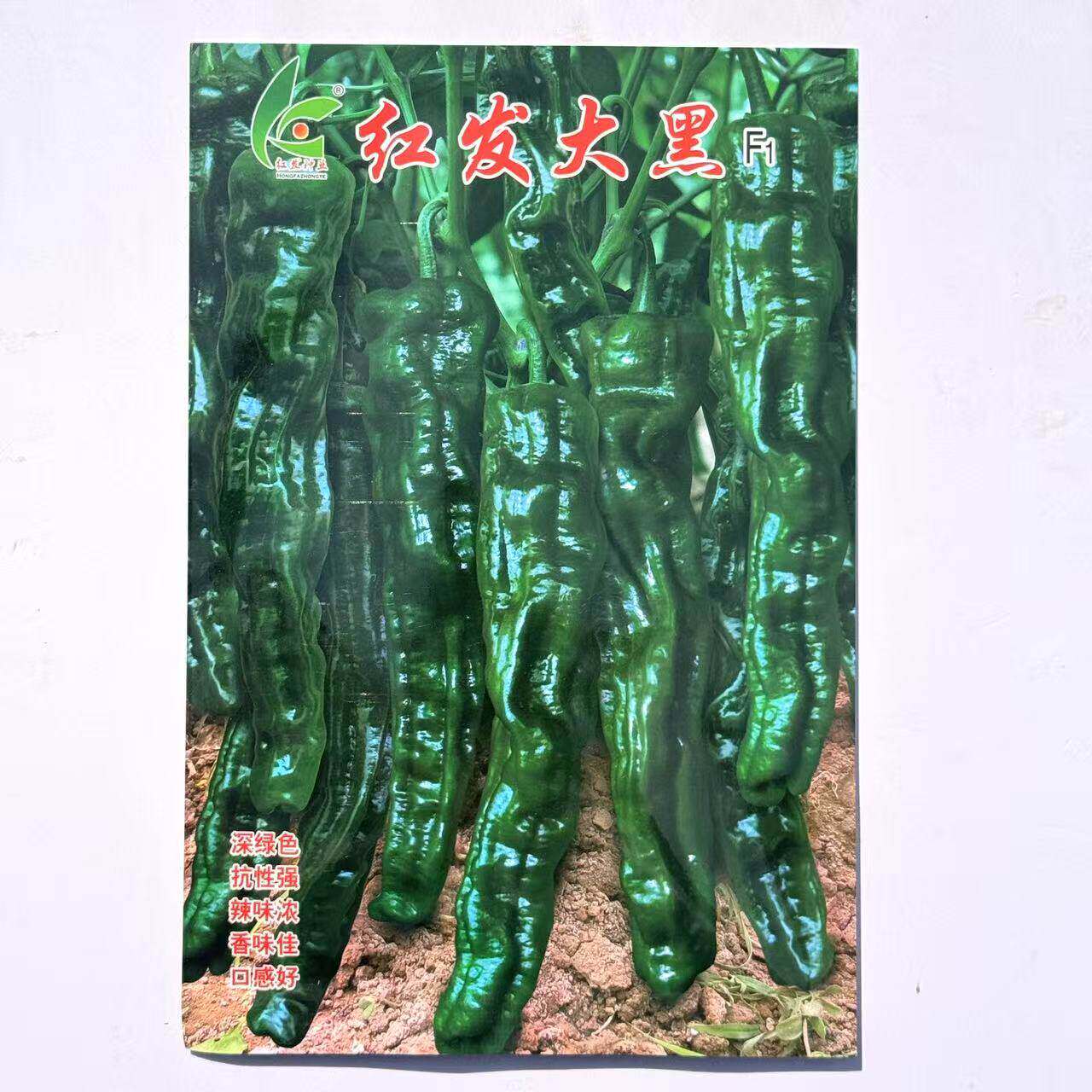 红发大黑薄皮皱皮辣椒种子质脆味辣皮黑绿色早熟羊角型皱皮椒种子