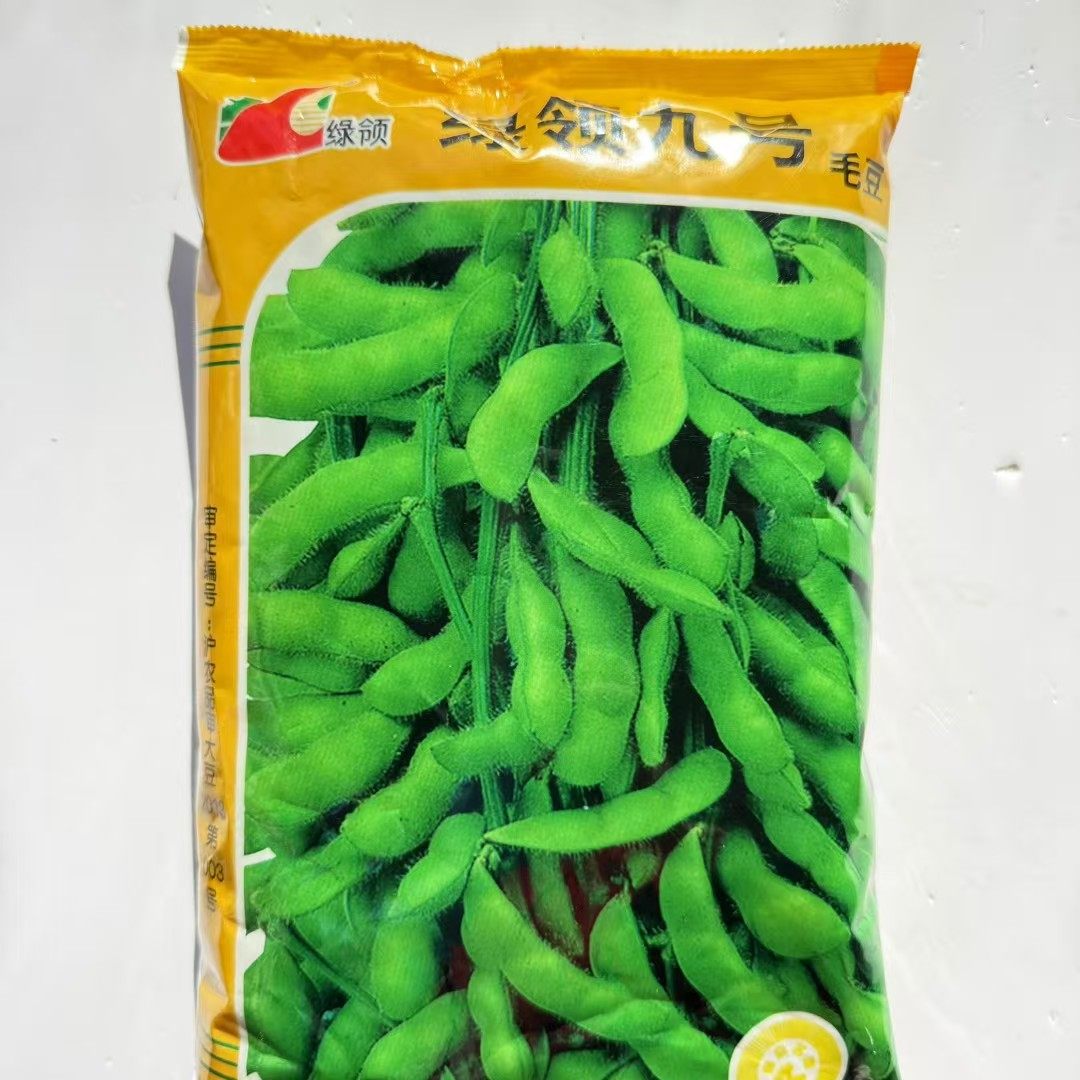 绿领九号毛豆种子早熟高产抗病耐热耐寒大田基地春夏播种蔬菜种子图片