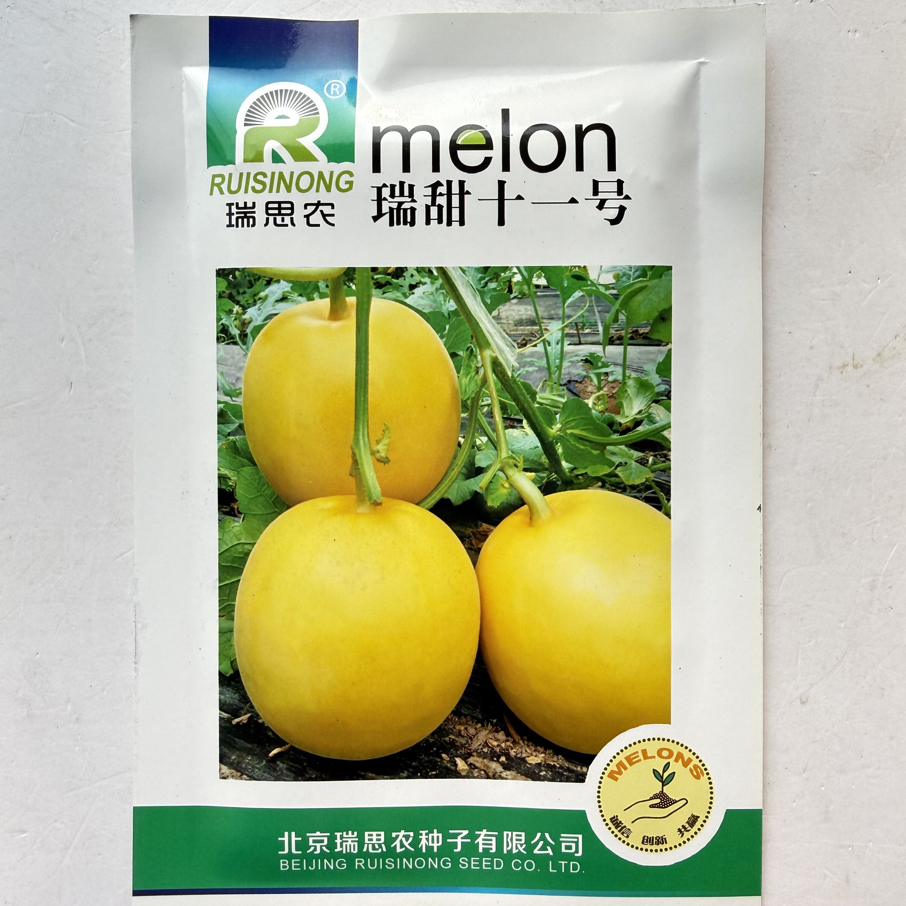 瑞甜十一号早熟薄皮甜瓜种子果圆形果面光滑肉白细腻清香酥脆爽口