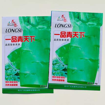 龙盛一品青天下香莴笋种子三青香莴苣种籽绿皮绿肉长椭圆叶肉脆嫩
