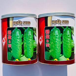 碧盈B型水果黄瓜种子翠绿色短棒水果黄瓜种子清香脆嫩小青瓜种子
