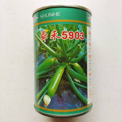 舜禾5903 西葫芦种子 油绿顺直高产耐热抗病商品性佳 农家春季播