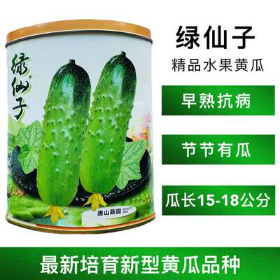 绿仙子黄瓜种子口感清脆水果黄瓜无苦味结瓜强抗病早熟浅绿色肉