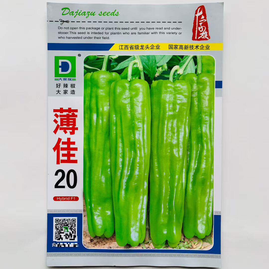 大家族薄佳20大果薄皮泡椒辣椒种子长灯笼型 味较辣皮薄质脆高产