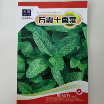 盆栽香菜香菜河南石孑薄荷十莱蔬菜种子苗菜籽四季食用鱼香草种籽