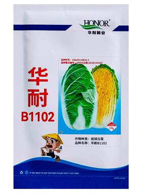 华耐B1102春秋兼用中熟大白菜秋季结球黄芯菜种籽早中熟蔬菜种子