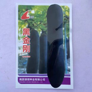 黑皮大冬瓜种子种籽苗大全菜东瓜孑秧苗瓜苗苗子青皮苗秧