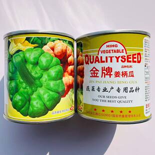 金牌姜柄瓜种子云南特产早熟瓜柿饼状扁圆姜饼瓜种籽高产抗病蔬菜