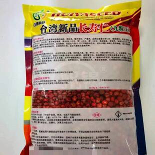 台湾新品长寿仁九粒王豌豆种子蔬菜改良新品种高产白花豌豆菜种籽