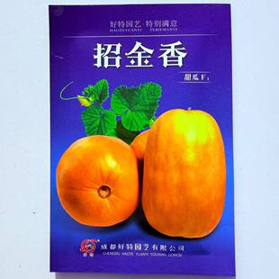 好特招金香甜瓜种子F1 极早熟优质黄皮肉黄白色香瓜 口感松脆甜5g