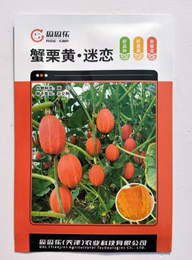 蟹栗黄 迷恋 贵族南瓜种子 粉糯香甜厚肉高产抗病商品性佳 春季播